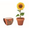 Pot  graines de tournesol