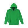 Sweat-shirt enfant capuche Heavy Blend™