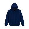 Sweat-shirt enfant capuche Heavy Blend™