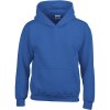 Sweat-shirt enfant capuche Heavy Blend™