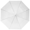 Parapluie 23" transparent à ouverture automatique Kate