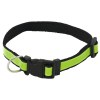 Collier - Muttley