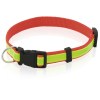 Collier - Muttley