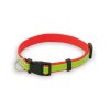 Collier - Muttley