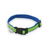 Collier - Muttley