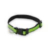 Collier - Muttley