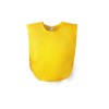 Chasuble - Wiki