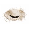 Chapeau - Filagarchado