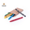 Boîte Crayons - Pichi