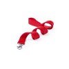 Lanyard - Neck