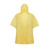 Poncho - Montello