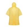Poncho - Montello