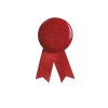 Pin's Ruban - Solidario