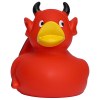 Canard fête