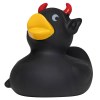 Canard fête