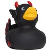 Canard fête
