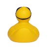 Canard sport