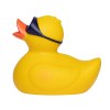 Canard sport