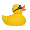 Canard sport