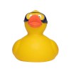 Canard sport