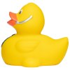 Canard métier divers