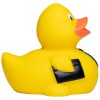 Canard métier divers