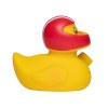 Canard sport