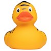 Canard fête
