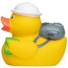 Canard voyage