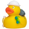 Canard voyage