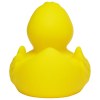 Canard uni