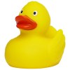 Canard uni