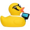 Canard métier divers