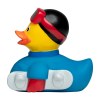 Canard sport