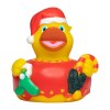 Canard hiver