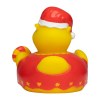 Canard hiver