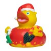 Canard hiver