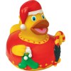 Canard hiver