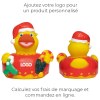 Canard hiver