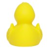 Canard de course