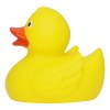Canard de course