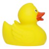 Canard de course