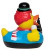 Canard voyage