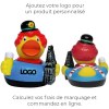 Canard voyage