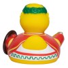 Canard voyage