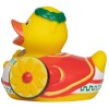 Canard voyage