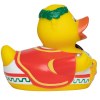Canard voyage