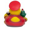 Canard voyage