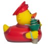 Canard voyage