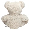 Peluche ours